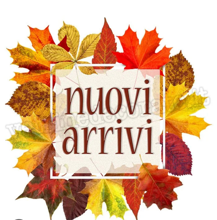 Nuovi arrivi